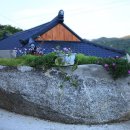 자라마을 이미지