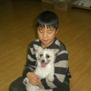 강아지당 이미지