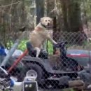 (주)견공 이미지