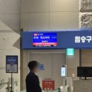 명카서비스 | 마쓰야마 렌트카 빌려 근교 자유여행 오박사투어 예약 후기