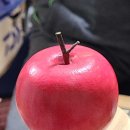 최평락한의원 이미지