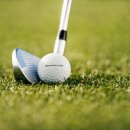 벨로시티 이미지