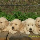 봄여름가을 이미지