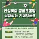 안성시종합운동장 이미지