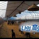 그린팜 이미지