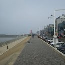 먹방 | 오이도 치즈 조개구이 푸짐한 먹방 후기