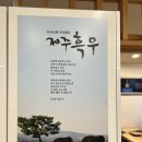 검은쇠몰고오는 이미지