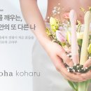 텐가든 이미지