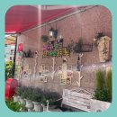 명지자연유치원 이미지