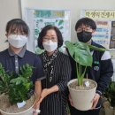 정평중학교 이미지