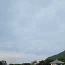 조금숙 | 가야cc필드레슨후기