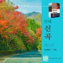천국의 열쇠 | [신곡]천국편 1곡~5곡- 빛 속으로 첫 발을 내딛다