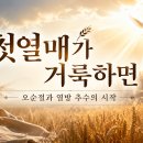 첫 열매가 거룩하면 (오순절과 열방 추수의 시작) 이미지