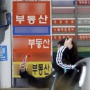 N부동산공인중개사사무소 이미지