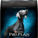 푸드포커스(food focus) 이미지