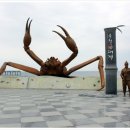 울진시범바다목장해상낚시 | 울진 가볼 만한 곳 - 울진바다목장 해상낚시공원