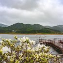 화진포해양박물관 이미지