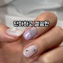 폼폼애견 이미지