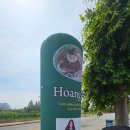 사우스 오아시스 이미지