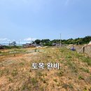 홍성/남당항 바닷가앞,계획관리지역 정남향 토목완비 320평/2억4000만원 이미지