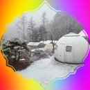 266 | 강원도 개별화장실 캠핑장 찾는다면, 겨울에도 안심이었던 알지캠프266 후기