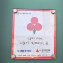 대영짬뽕짜장