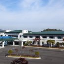 (주)드래곤관광 이미지