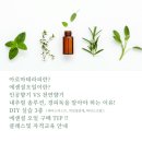 아로마미아
