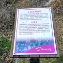 춘양면사무소 이미지