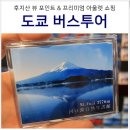 도쿄 유투어 버스투어 후지산 고템바 고텐바 아울렛 당일치기 후기