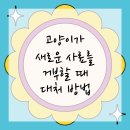 라파엘 동물병원 | 연수구동물병원 고양이 사료 거부 해결하기