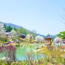 고요정원 이미지