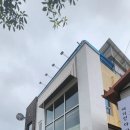 순천승평중학교 이미지