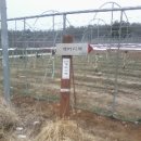 일부2리 이미지