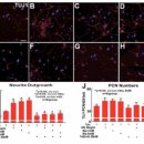 이명성형외과의원 | 의사도 맞는 NAD주사의 항노화 효과, 원리, 주의사항, 후기