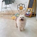 행복을 배우는 공간 이미지