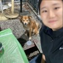 강화도 애견동반펜션 반려견동반 여행 터펜션 동막해변 두번째 방문