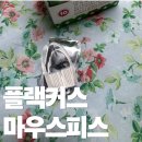 리빙모어 | [이갈이필수품] 3년 넘게 사용중인 플랙커스 노모어 마우스피스 내돈내산 후기