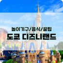 도쿄 디즈니랜드 초심자를 위한 A to Z 놀이기구 음식 대중교통 프라이오리티 패스 꿀팁