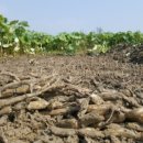 경산농장 이미지