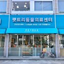 강동동물병원 | 펫트리동물의료센터 건강검진 중 고양이 사망 [강동구 동물병원 후기]