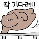 잔원유림 이미지