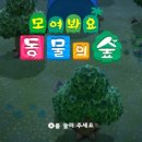 Mortal Kombat | 모여봐요 동물의 숲 스위치 2시간 플레이