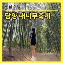 연화촌 | 광주근교 아이랑 가볼만한 곳 담양죽녹원대나무축제 주차 일정 입장료