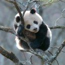 두드리하우스 | 저렴이 화장품 구매