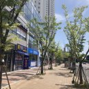 오래쉬(O’LASH) | [광주/첨단] 속눈썹펌 잘하는곳 오래쉬 (O&#39;LASH) 쌩얼 자신감! 반짝-초롱한 눈을 원한다면?