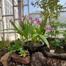 한구목장 이미지