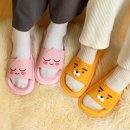 (주)아이콘스 이미지