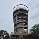 제주올레길 14-1코스,13코스;2025년07월16일[오설록녹차밭~저지예술정보화마을~용수리/용수교차로] 이미지