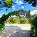 규봉골민박 이미지